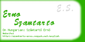erno szamtarto business card